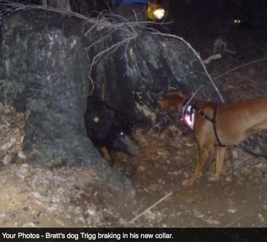 Screen Shot 2013-10-02 at 1.37.03 PM